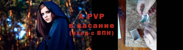 ECSTASY Балахна