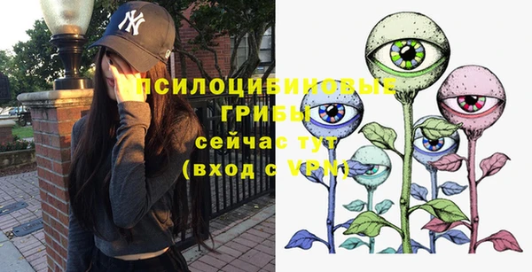 ECSTASY Балахна