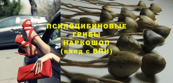 ECSTASY Балахна