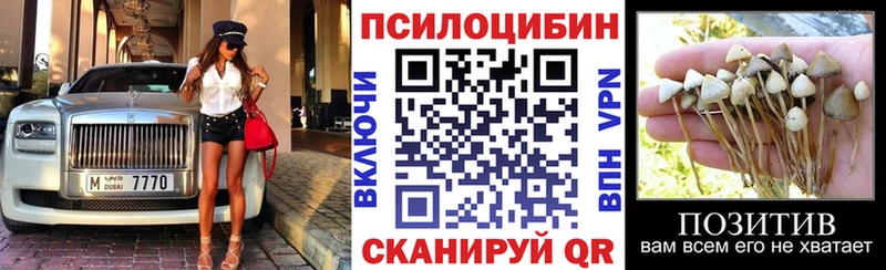 Галлюциногенные грибы Magic Shrooms  Купить закладки  Болхов 