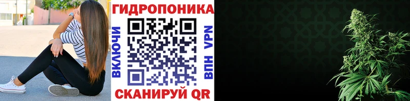 Купить закладки Болхов Бошки Шишки OG Kush